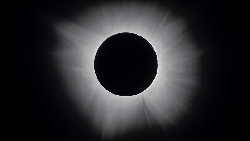 The Sun's corona visible during totality of a total solar eclipse