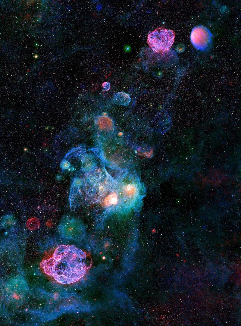 Falschfarbenbild von glühenden Emissionsnebeln im Sternbild Auriga