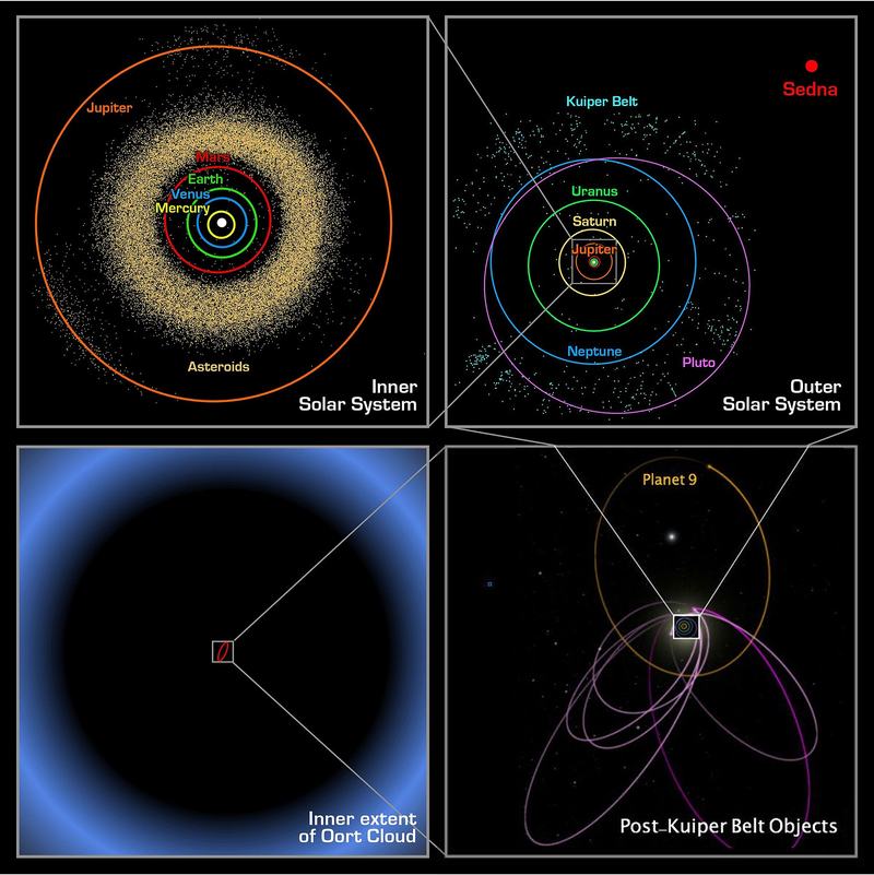 Diagram showing Sedna's orbit relative to the Kuiper belt and the hypothetical Planet Nine