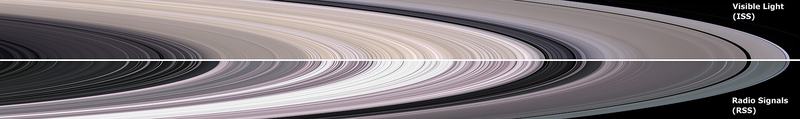 Saturn's rings imaged by Cassini in visible light and radio wavelengths