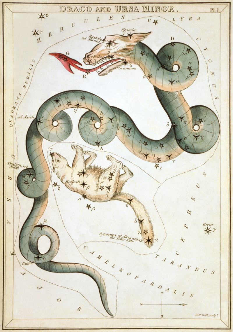 19th-century star chart of the constellations Draco and Ursa Minor
