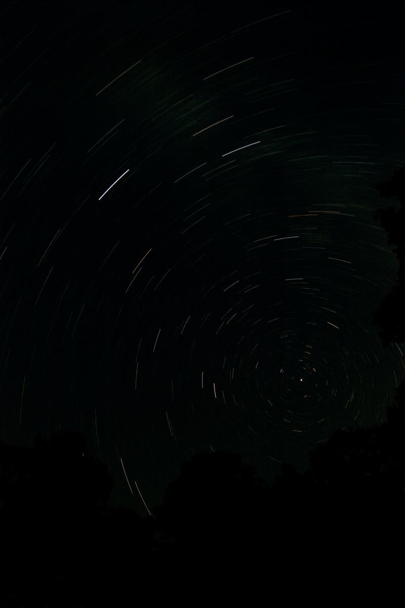 Star trails circling the north celestial pole near Polaris