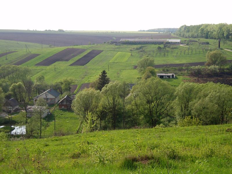 Chernozem of Lubiana, Ukraine