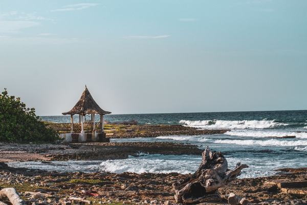 Jamaica: The Island That Changed Global Music Forever