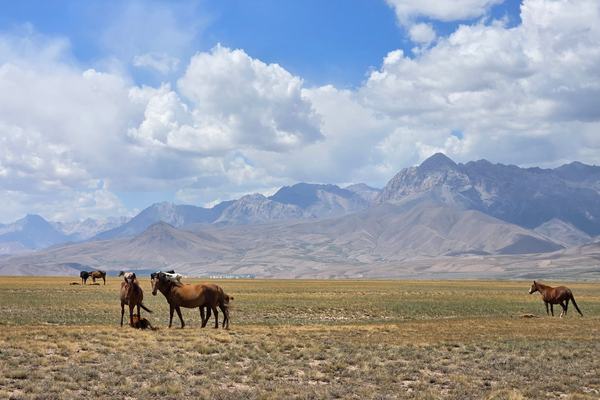 Kyrgyzstan: A Mountain Country in the Heart of Central Asia