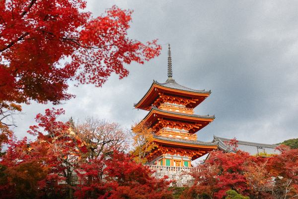 Japan: An Archipelago of 14,125 Islands