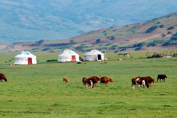Mongolia: The Land of the Eternal Blue Sky
