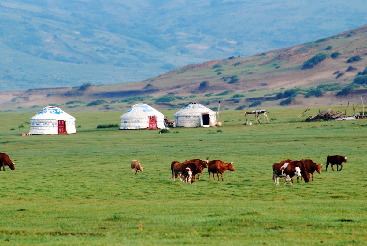 Mongolia: The Land of the Eternal Blue Sky