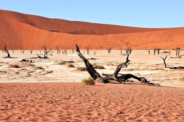 Namibia: The Country Where the Desert Meets the Sea