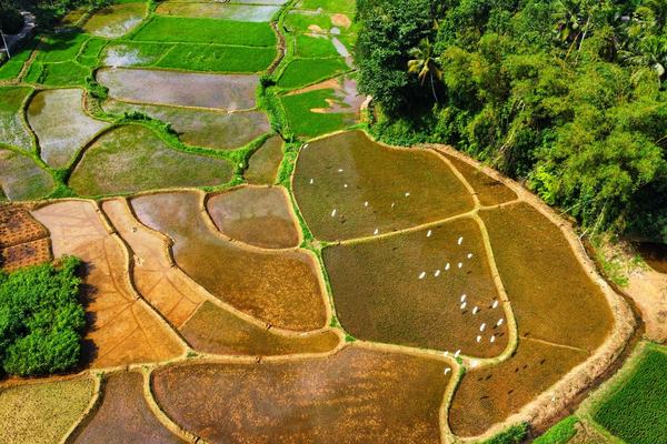Sri Lanka: The Island That Sits Below India