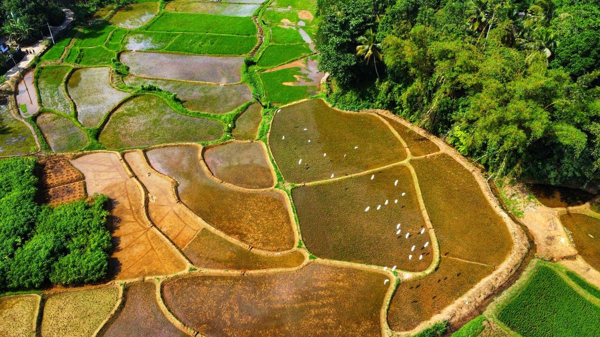 Sri Lanka: The Island That Sits Below India