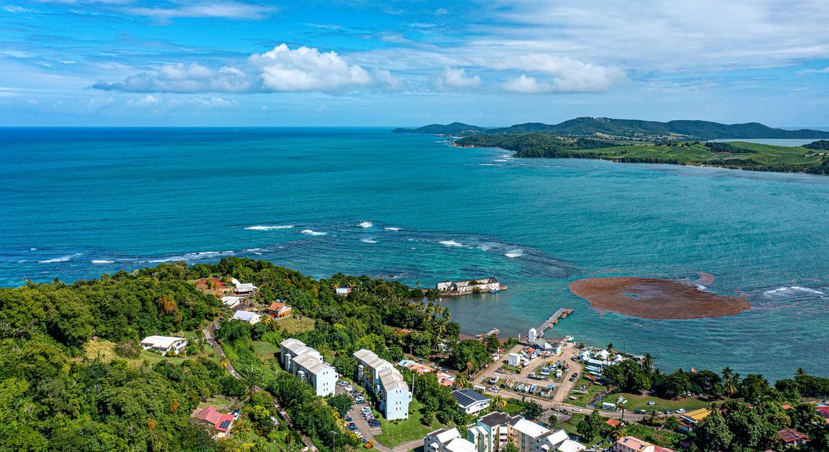 Dominica: The Caribbean's Wild, Volcanic Nature Island