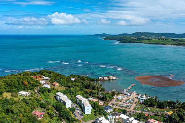 Dominica: The Caribbean's Wild, Volcanic Nature Island
